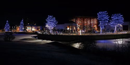 Light Up the Park