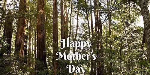 Nice & Easy Mother's Day Walk with Caroline