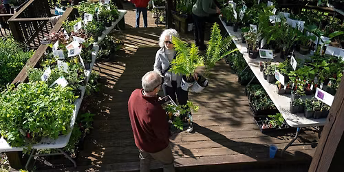 Deer Resistant and Native Plant Sale - 2026