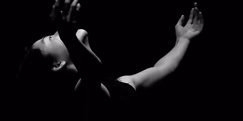 Parking Houston Ballet - Broken Wings