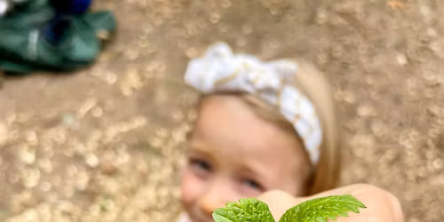 Windows Into Waldorf Open House