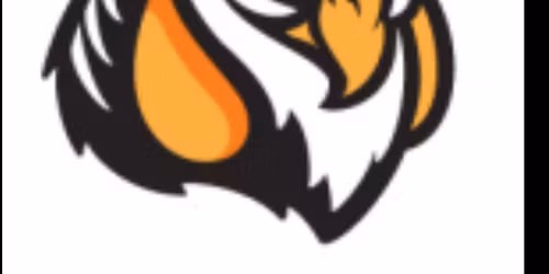 Schaumburg Boomers vs Mississippi Mud Monsters