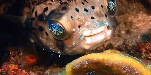 January General Meeting