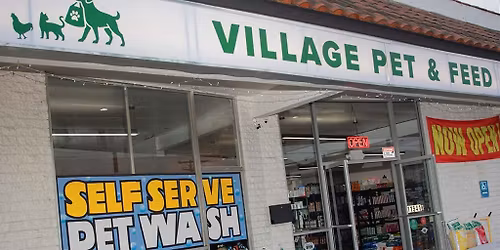 Santee - Dog dental cleaning