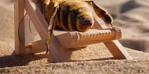 Lear how to make honey wine or mead.