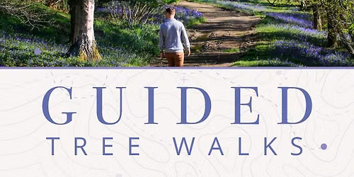 Guided Tree Walks