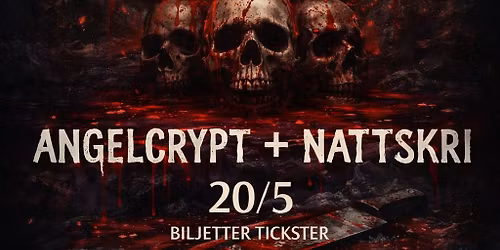 ANGELCRYPT + NATTSKRI
