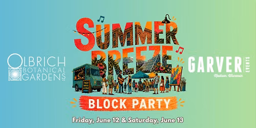 Summer Breeze Block Party