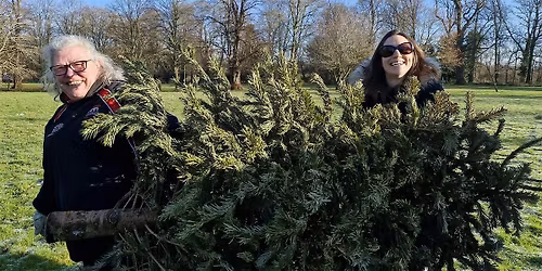 Sue Ryder Christmas Treecycling Peterborough