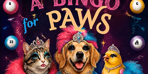Dragqueen Meat Bingo!!