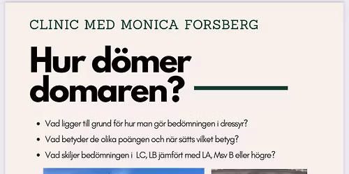 Hur d\u00f6mer domaren?
