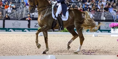 \u2728 Friday Night Stars - CDI4* Grand Prix 