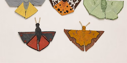 Native Pollinator Craft Session