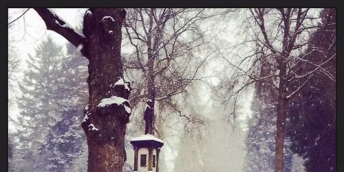 Guided Historical Tour