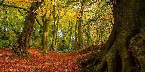Kersal Dale Conservation Session