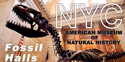 AMNH: A DinoBus Winter Adventure!
