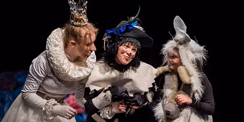 Batuotas katinas. Klaip\u0117da!