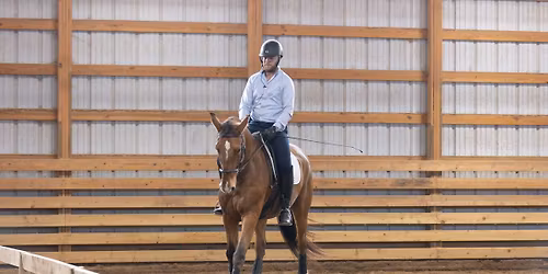 Classical Dressage, Athen, TX