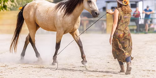 ELO Liberty & Bridleless Show