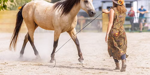 ELO Liberty & Bridleless Show