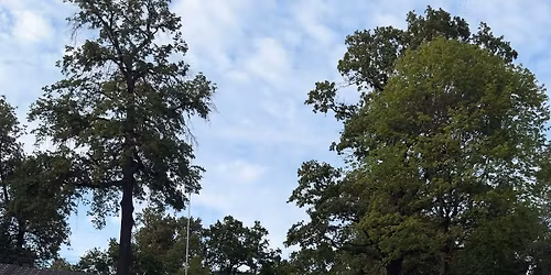 Naujok\u0173 savaitgalis - Kaunas