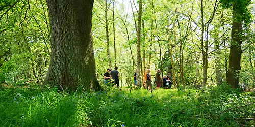 NWT Sweet Briar Marshes: Explore with the warden (14 January)