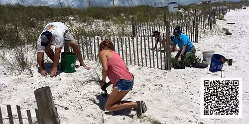 Dune Vegetation Planting at Veterans Park