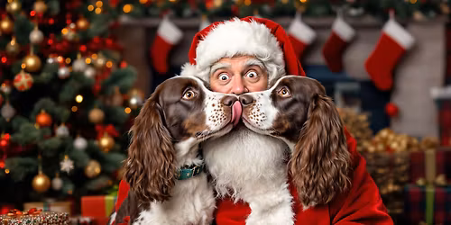 Santa's Grotto Fun Scent Detection Workshop BH24 