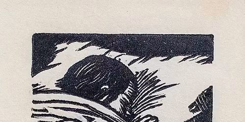 The Sleepers: Study Day