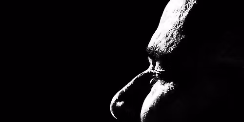 Ernie Peniston Band @ Kavy\u2019s