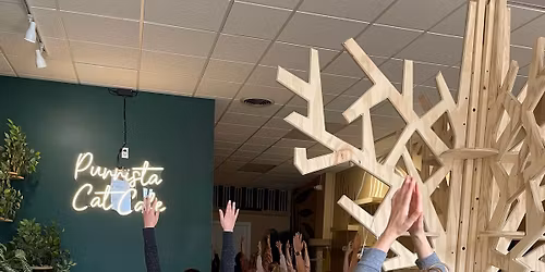 Cat Yoga at Purrista Cat Cafe