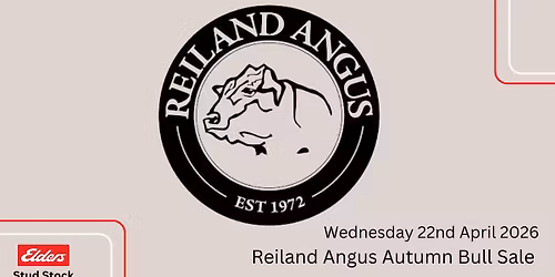 Reiland Angus Autumn Bull Sale