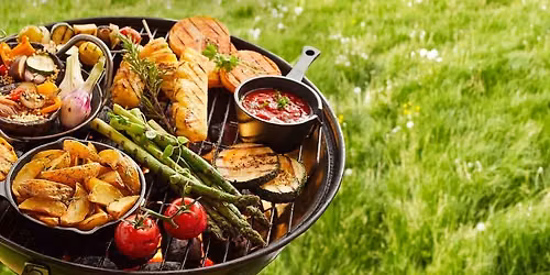 Vegan grilov\u00e1n\u00ed v Lu\u017e\u00e1nk\u00e1ch s VSC