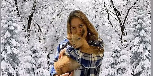 Farm Animal Holiday Photos