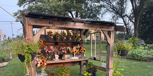 Summer Solstice Golden Hour Bouquet Sale - June 21, 7-9 pm