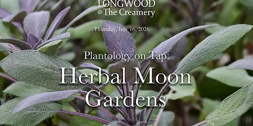 Plantology on Tap: Herbal Moon Gardens