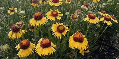 Historic Crail Ranch Homestead Museum Tour