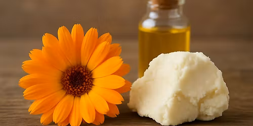 Calendula Workshop