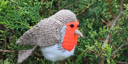 Twitch and Stitch: Create Your Own Robin