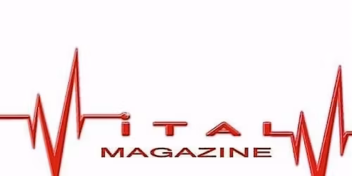 Vital Magazine Networking and Honoring Event November 22, 2025