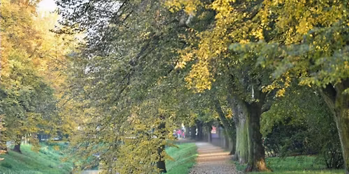 Neoby\u010dejn\u00e1 \u0161tafeta proti proudu Rakovnick\u00e9ho potoka