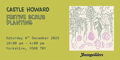 Castle Howard Festive Planting