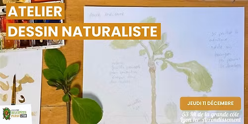 Initiation au dessin naturaliste