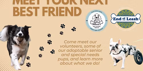 Meet Our Pups - End of the Leash Mukwonago