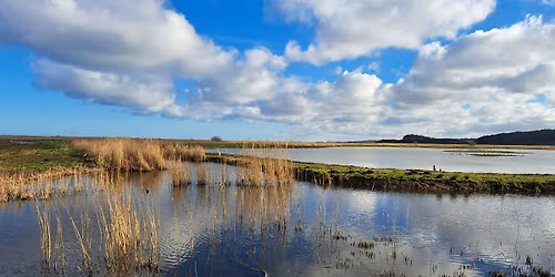 Creative writing outside - performance