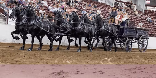 Draft Horse Classic at Nevada County Fairgrounds