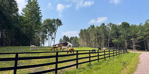 ALPACA FARM DAYS AT CASACAMPO