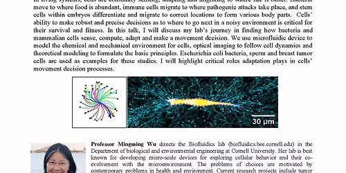 Seminar by Professor Mingming WU (Cornell University)