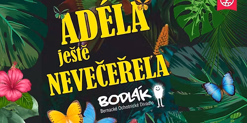 Ad\u00e9la je\u0161t\u011b neve\u010de\u0159ela
