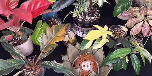 Fall Plant & Art Sale